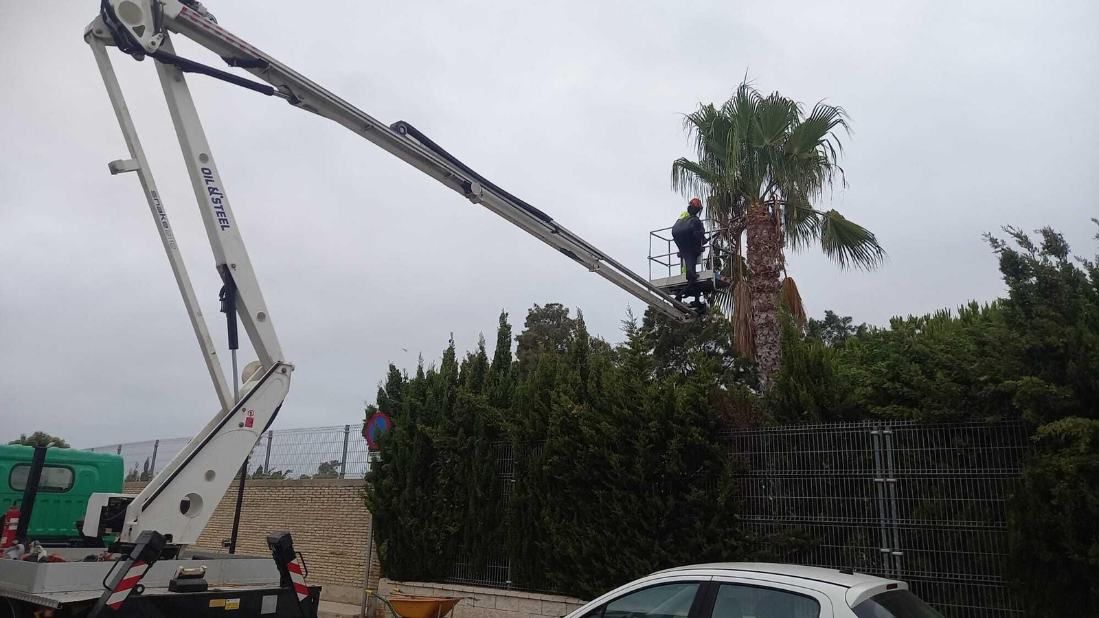 Trabajos de poda y jardinería en el colegio Casería.