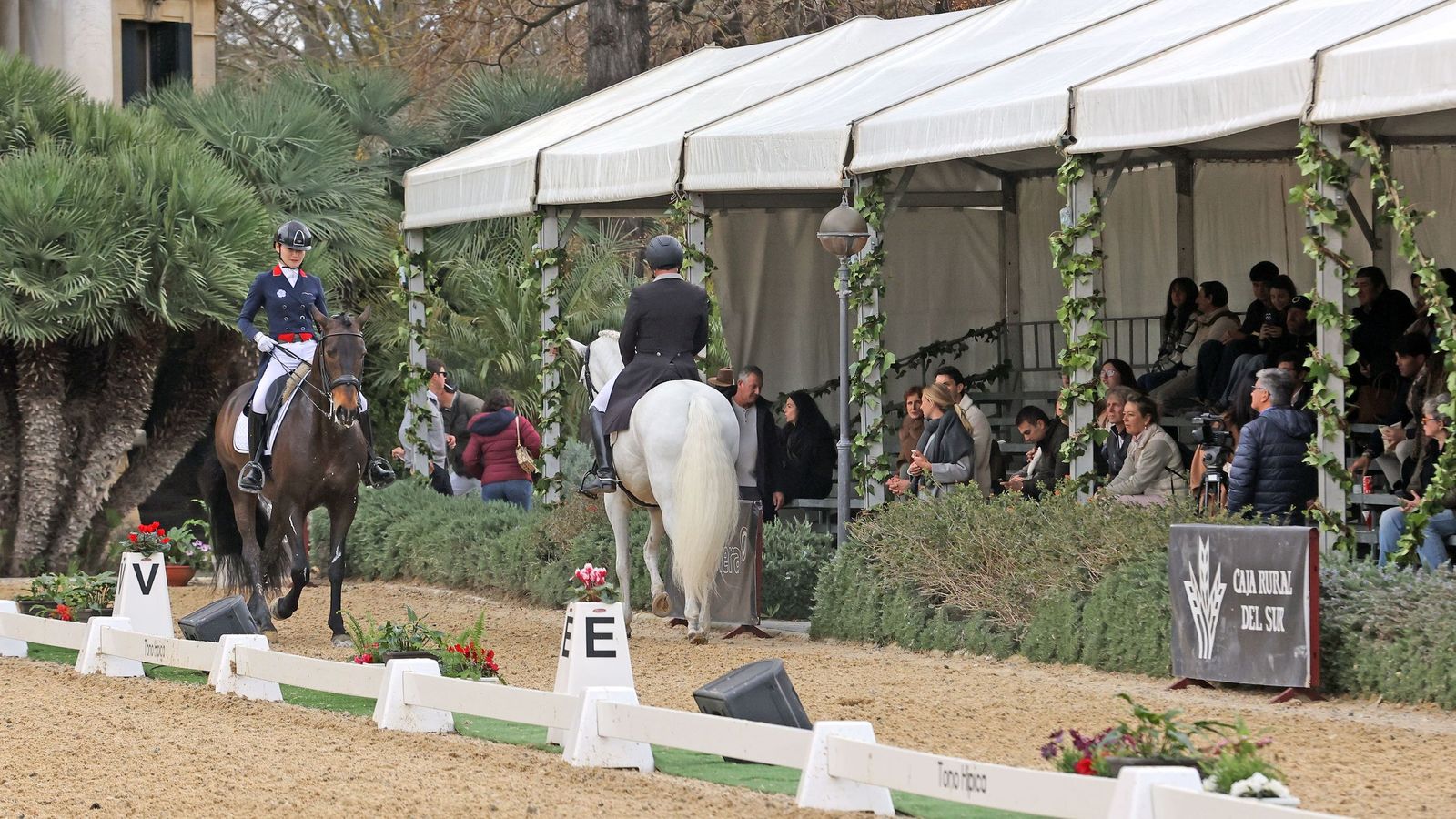 Concurso Internacional de Doma Clásica en La Real Escuela de Jerez