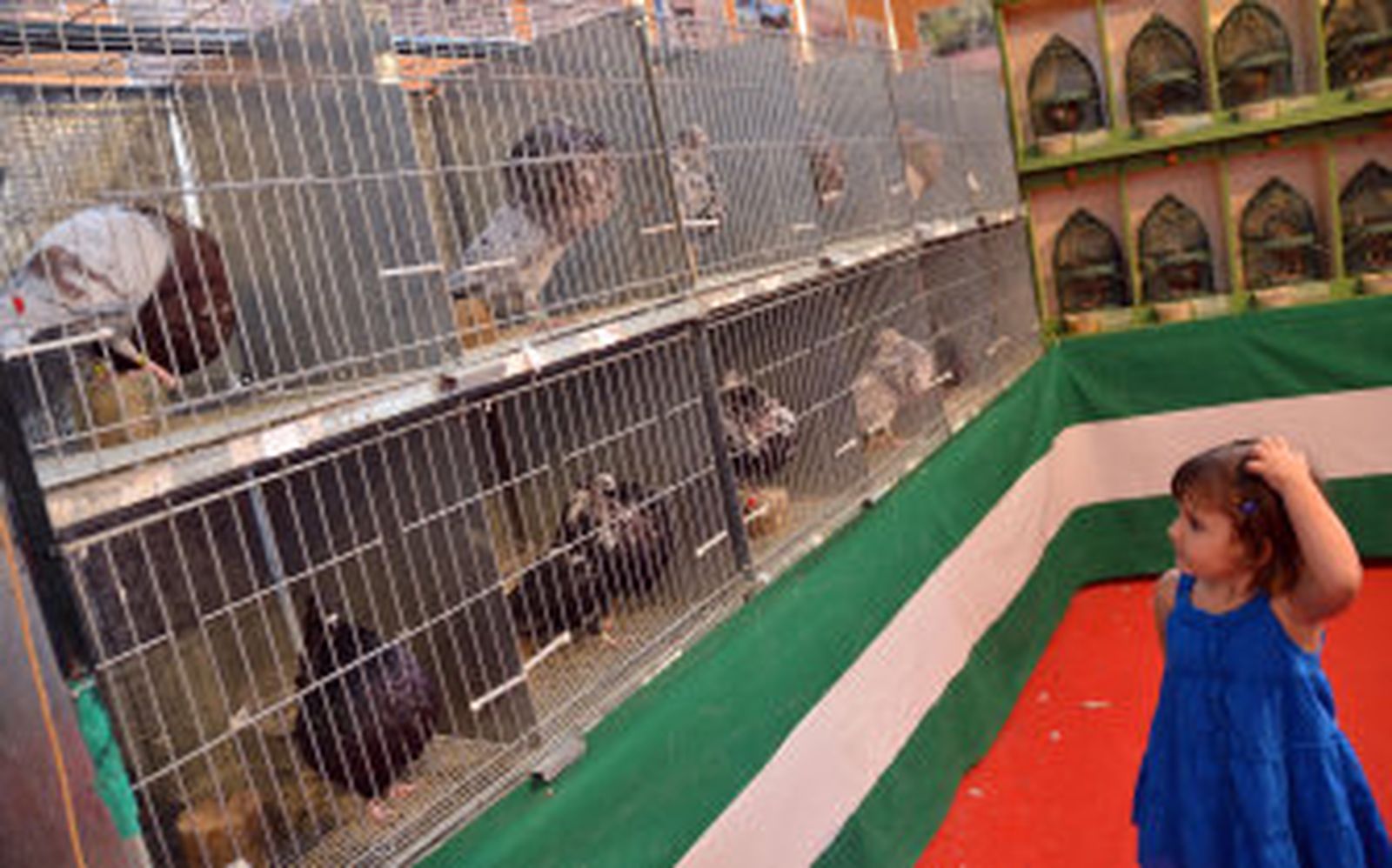 La Feria de Caza y Pesca salda con éxito su primera edición en Ifeca