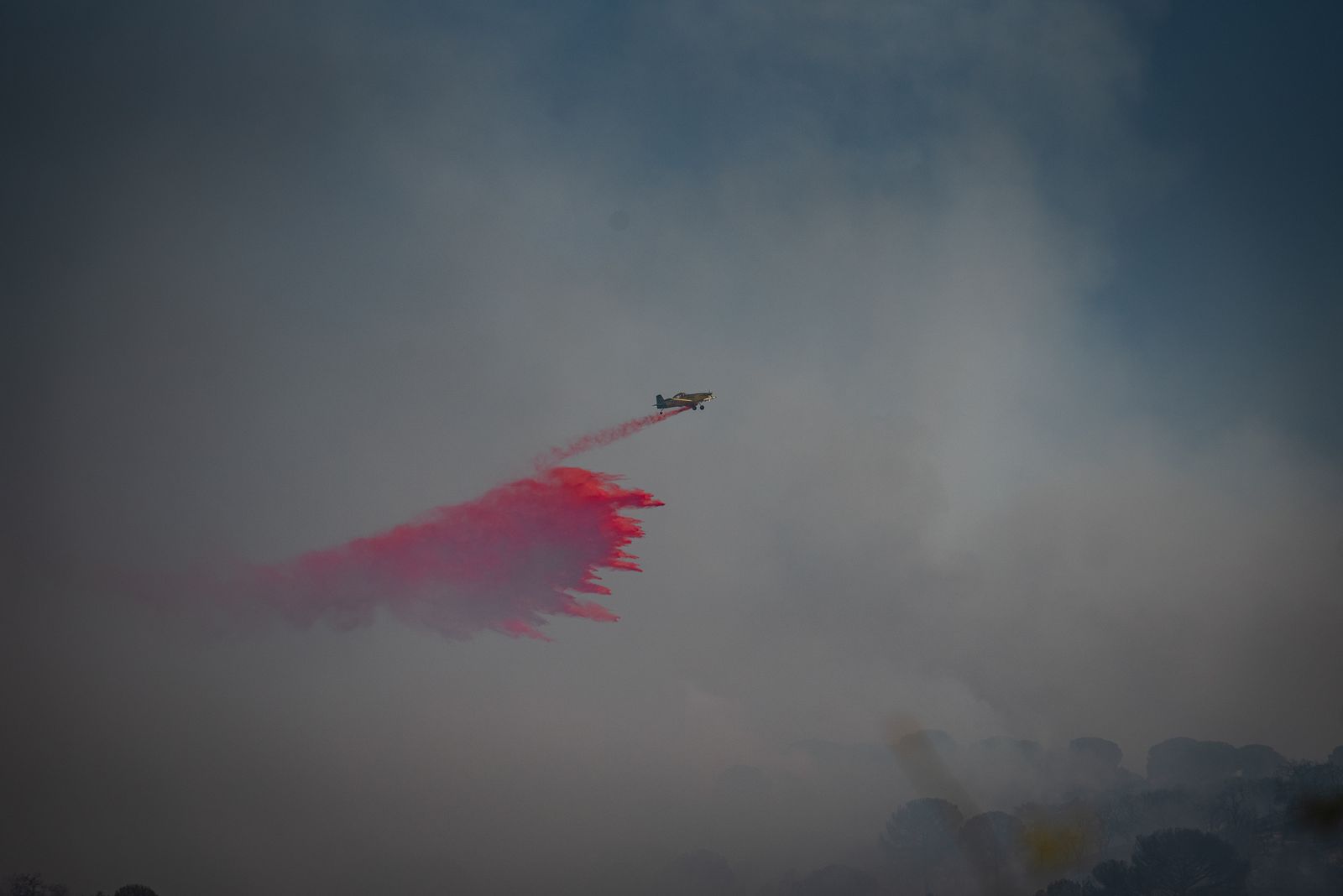 El incendio de Lucena del Puerto en imágenes