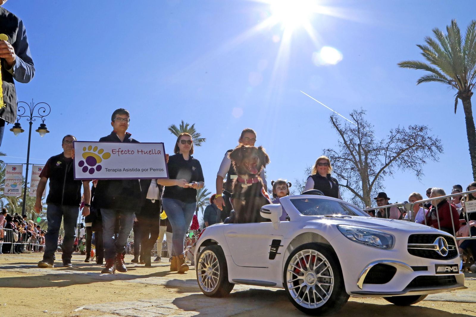 Imágenes de San Antón 2020 en Jerez