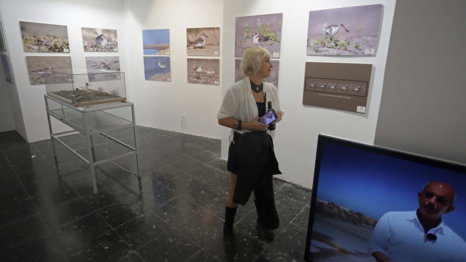 Fotos de las exposiciones de la Galería Manolo Ales en La Línea