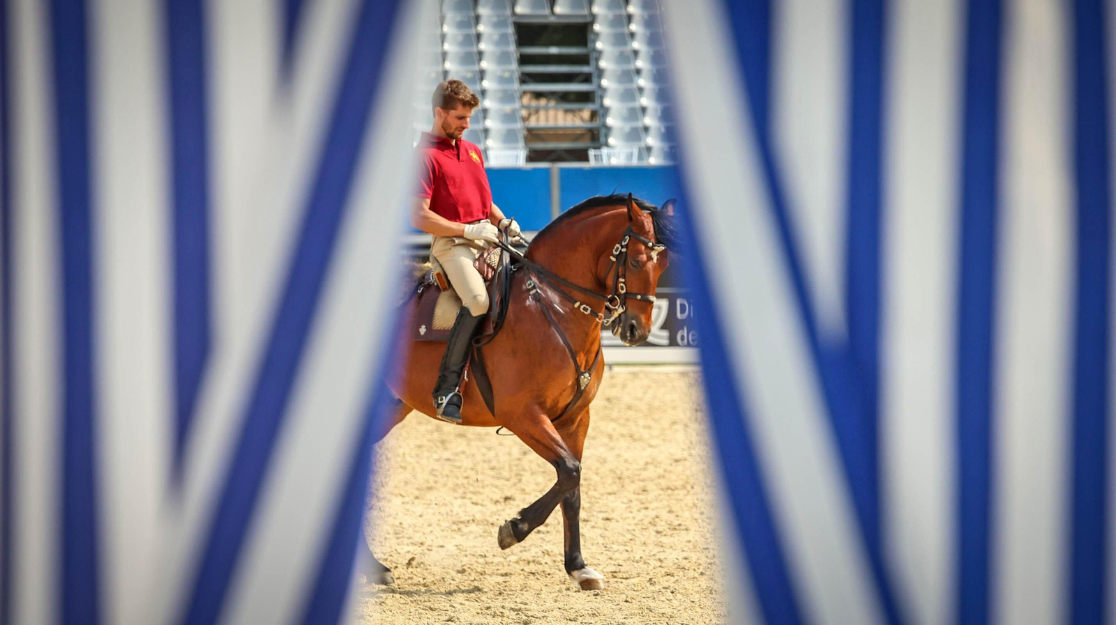 Ensayos para la Gala V Escuelas en Jerez