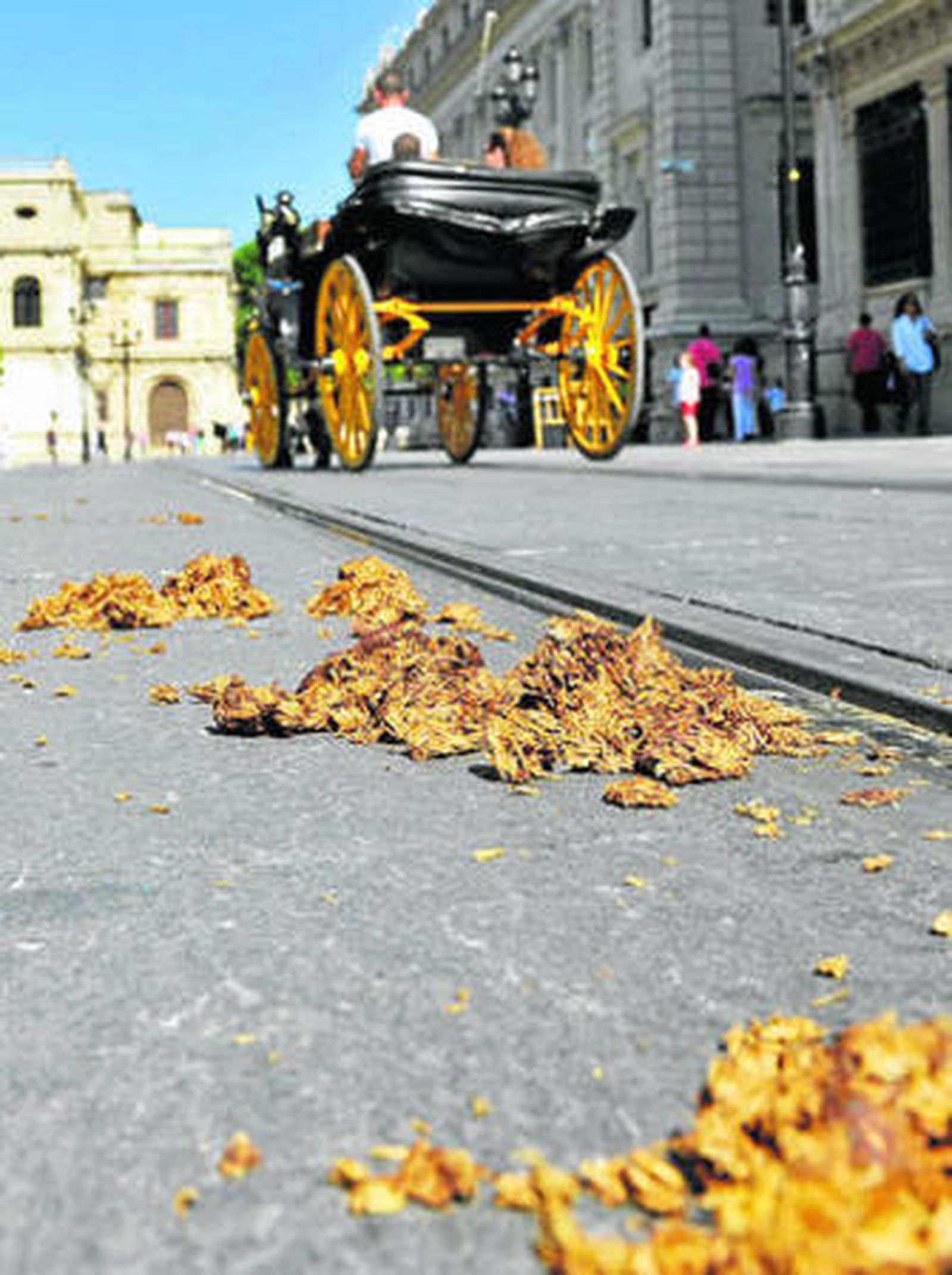 Imagen que presentaba ayer la Avenida con las heces dejadas por los caballos de un coche de paseo.