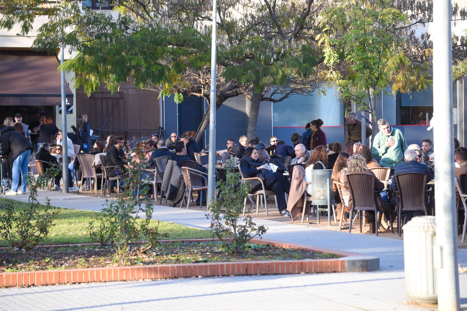 La Tardevieja en Córdoba para despedir 2025, en imágenes