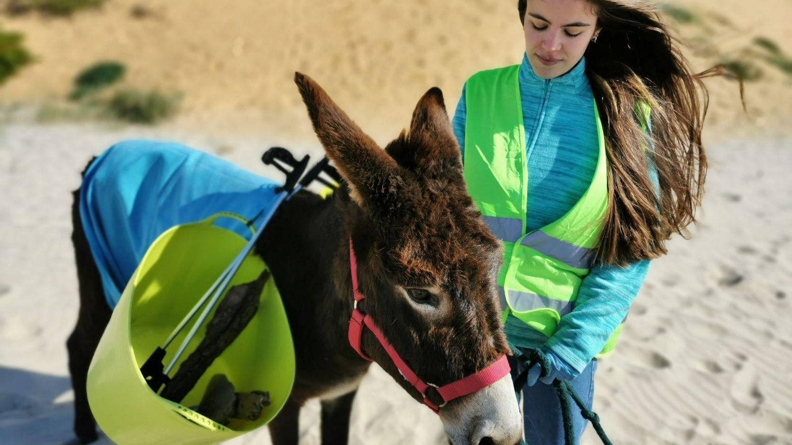 Una de las voluntarias junto a una de las burritas.