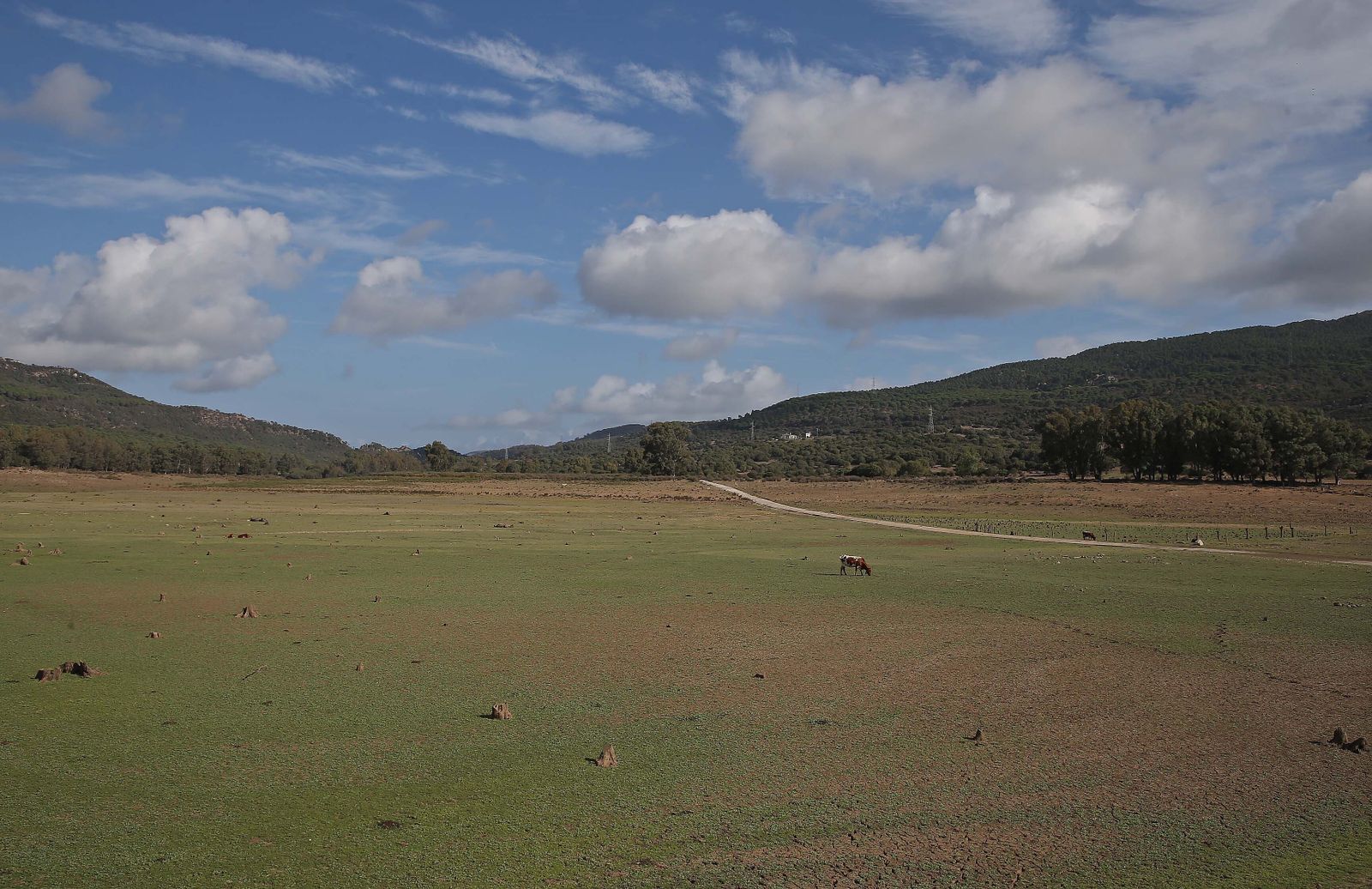 Imágenes del pantano de Charco Redondo en Los Barrios