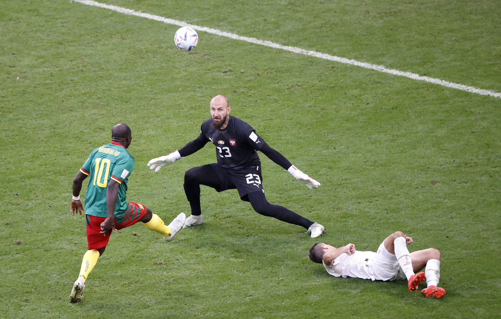 Las imágenes del Camerún - Serbia