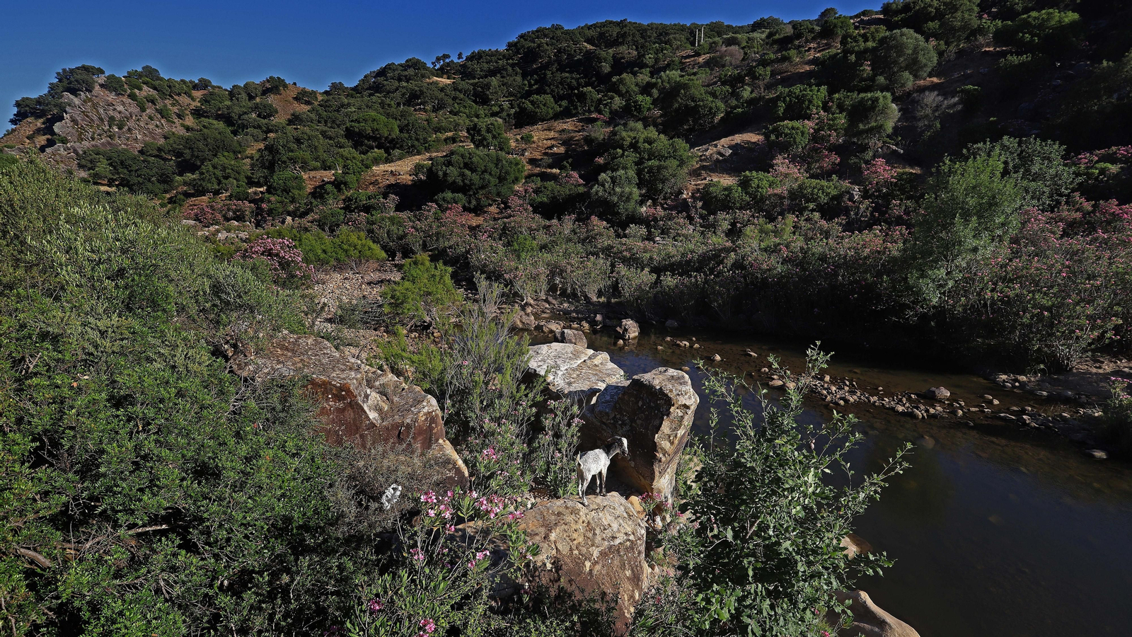 Las mejores fotos del sendero del Río Hozgarganta