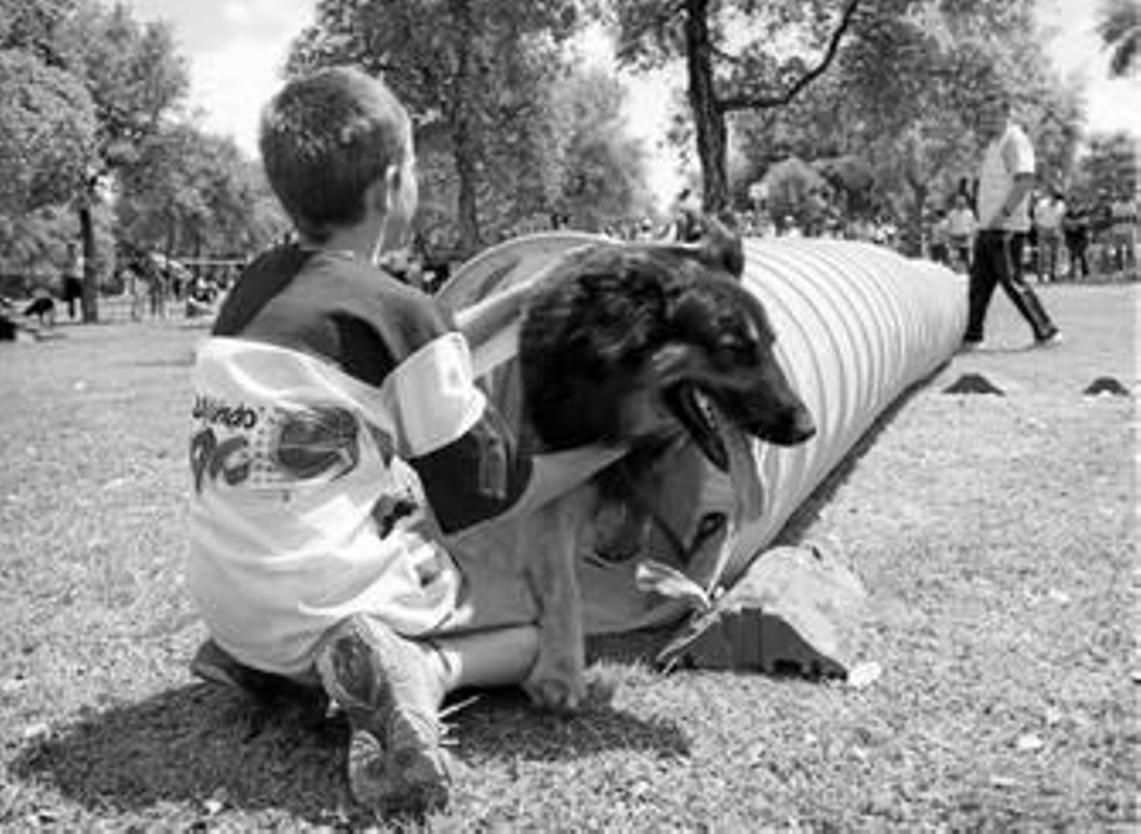 Un niño junto a su perro en un curso sobre educación canina celebrado en el Alamillo.