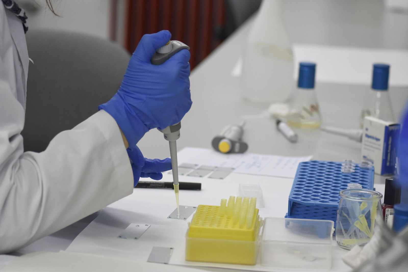 Estudio de muestras en un laboratorio.