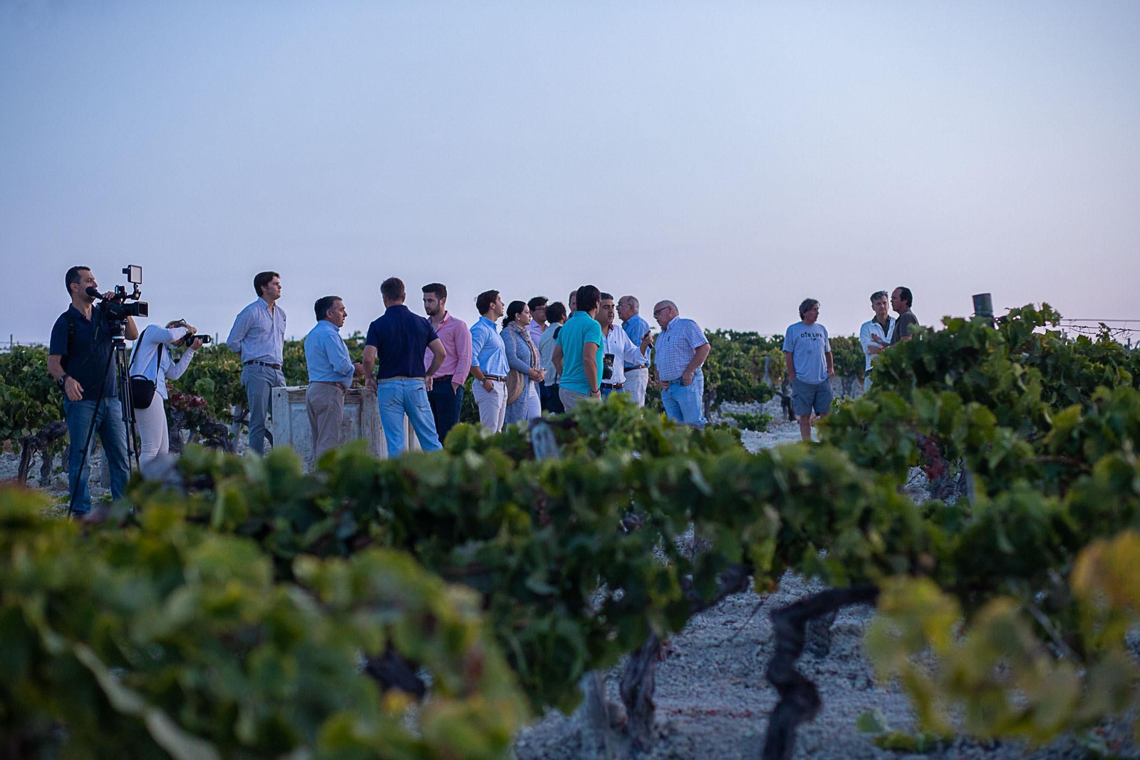 La vendimia nocturna de Tío Pepe