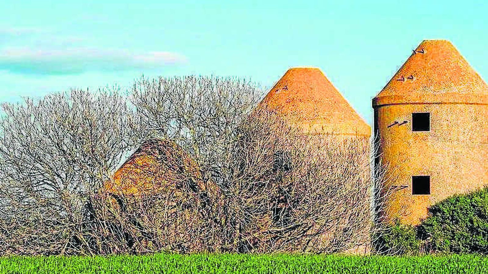 a Ruta del Aceite de Beas ya está homologada por la Federación de Montañismo.