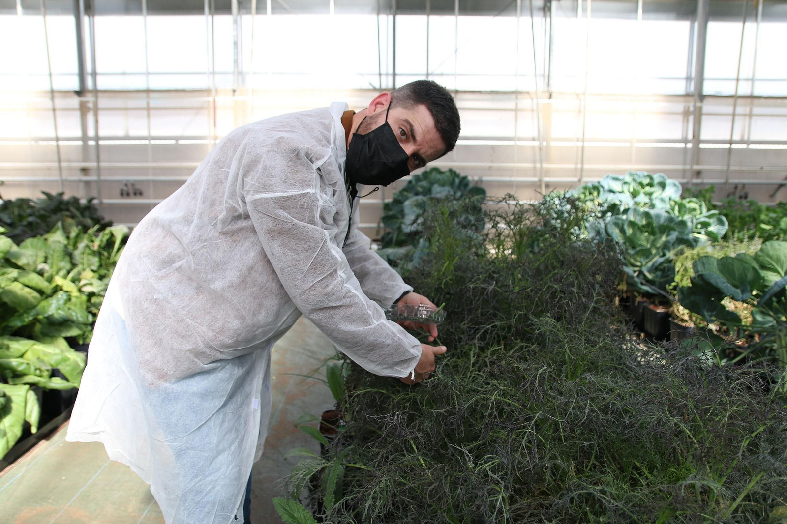 Fotogalería de la presentación de Plataforma Tierra, de Cajamar e IBM