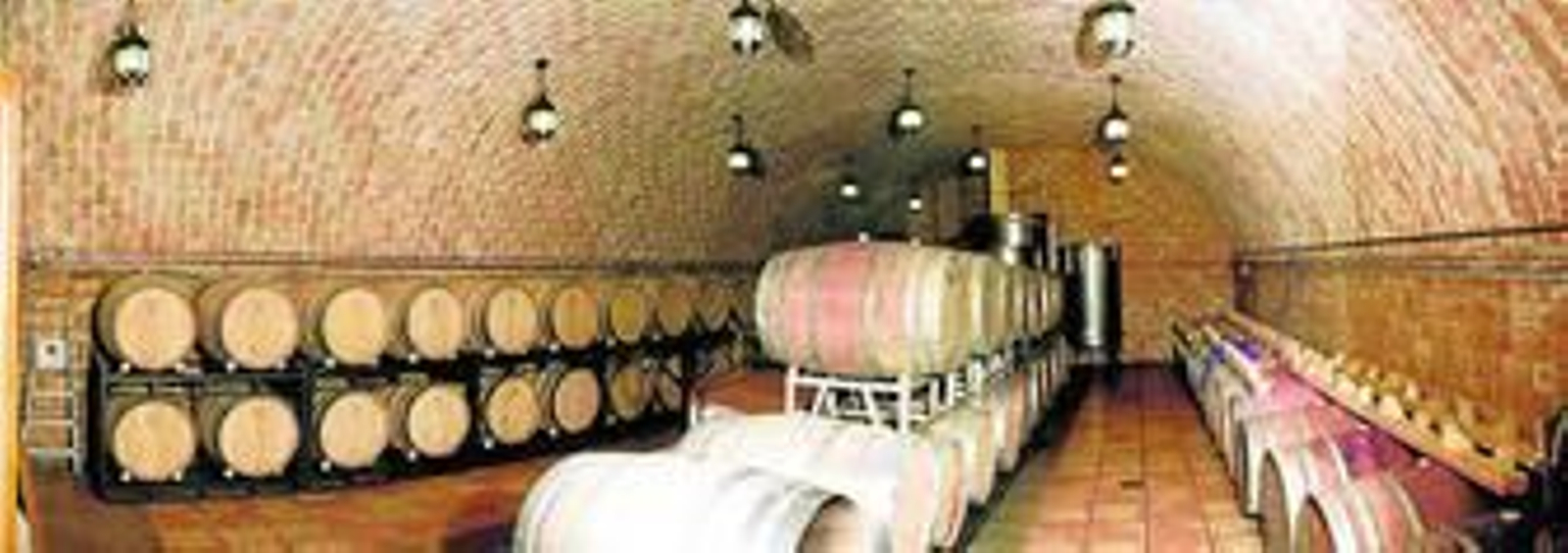 Dominio Buenavista: El Veleta sabe a tinto