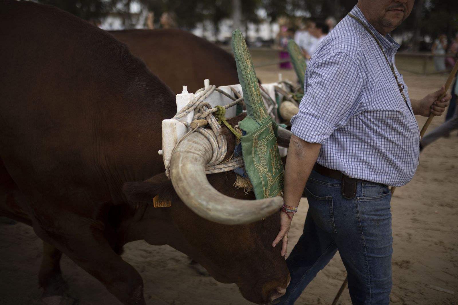 El Rocío 2023: Imágenes de ambiente en la aldea durante la presentación de las Hermandades