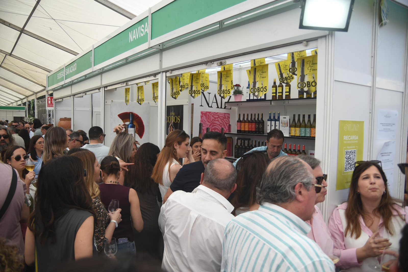 El sábado de la Cata del Vino, en imágenes