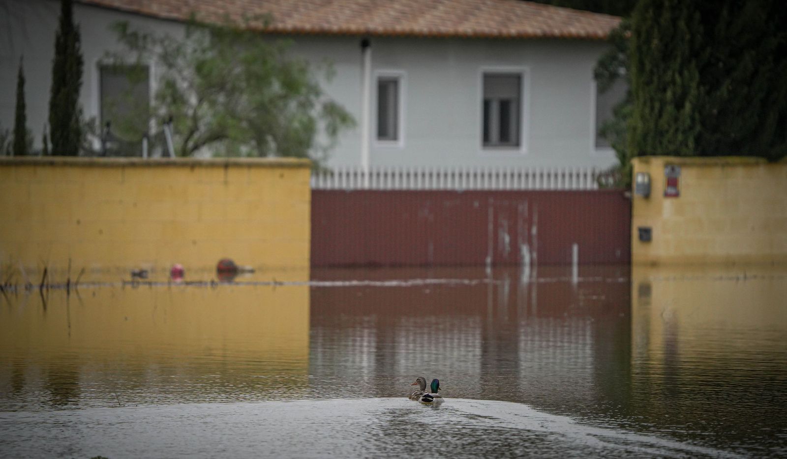 Imágenes de las zonas afectadas por la crecida del rio Guadalete en Jerez