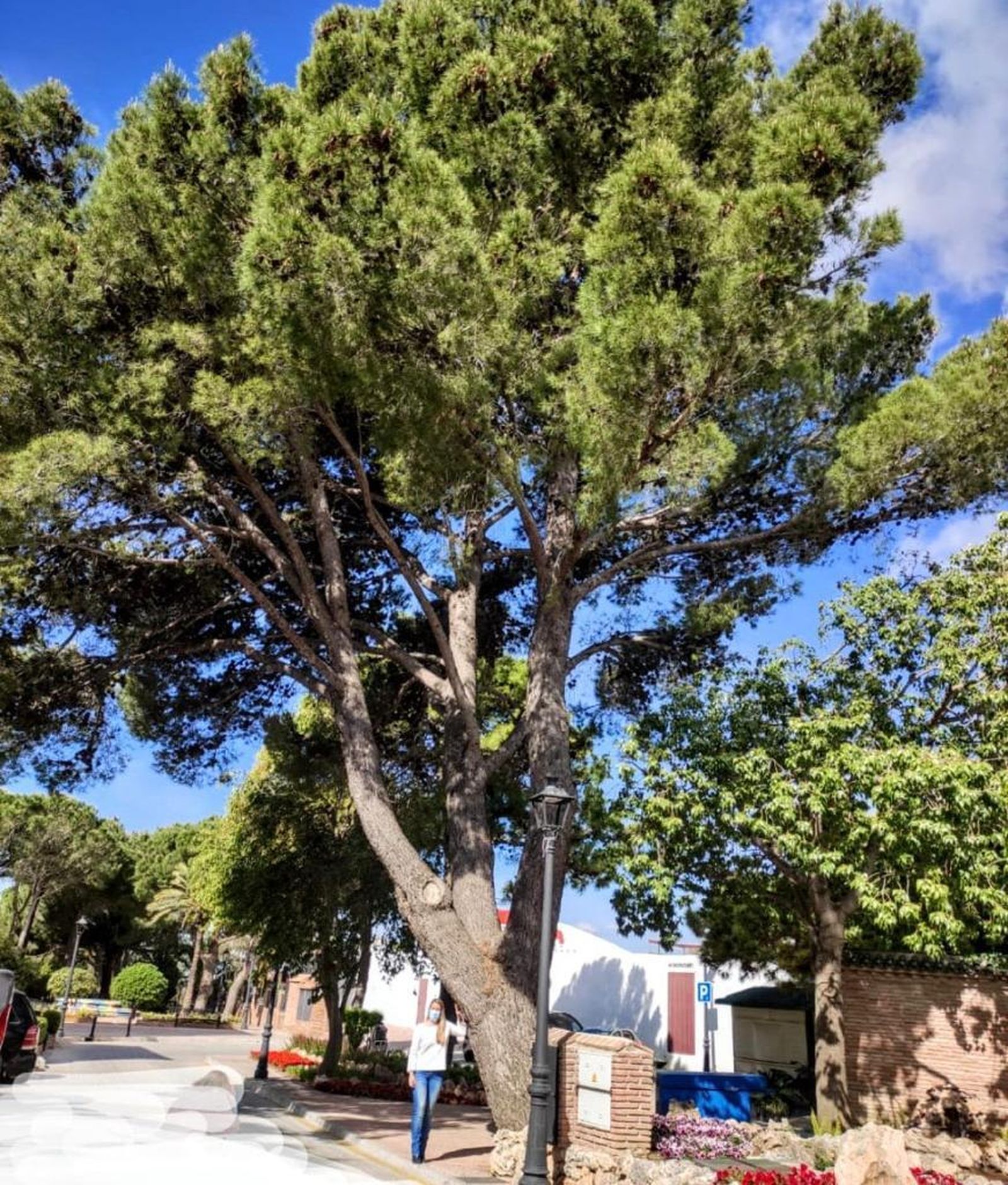 La edil de Medio Ambiente del Ayuntamiento de Mijas, Arancha López.