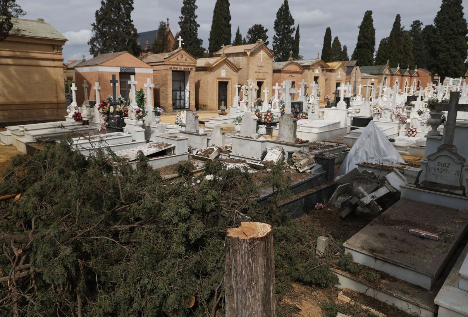 Destrozos provocados en las lápidas del cementerio por la caída de árboles