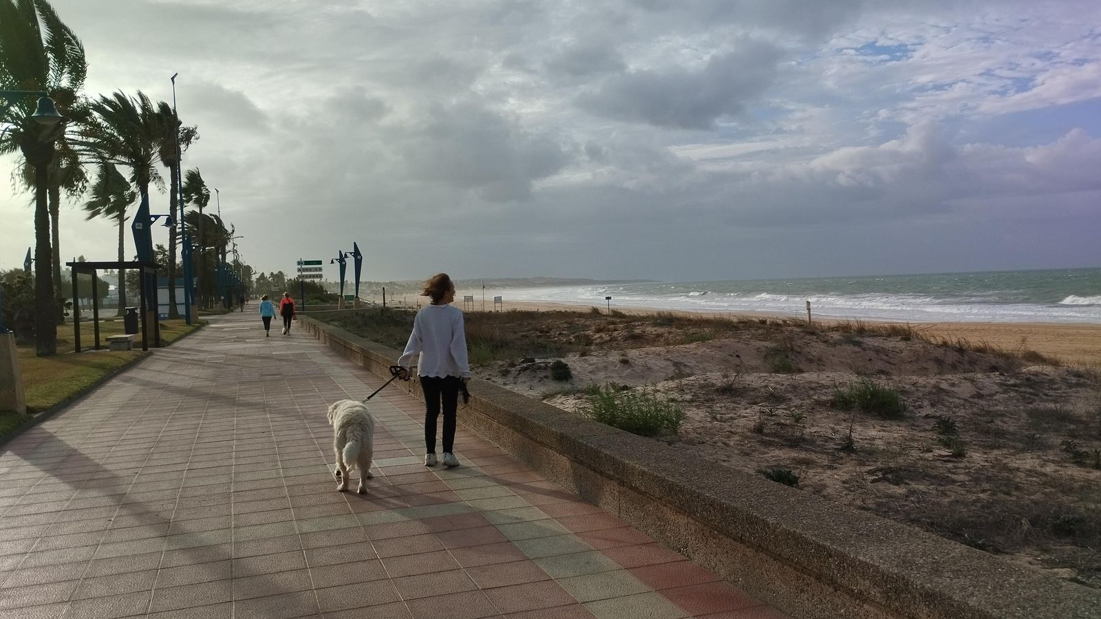 Muchos propietarios acuden con sus mascotas al Paseo Marítimo