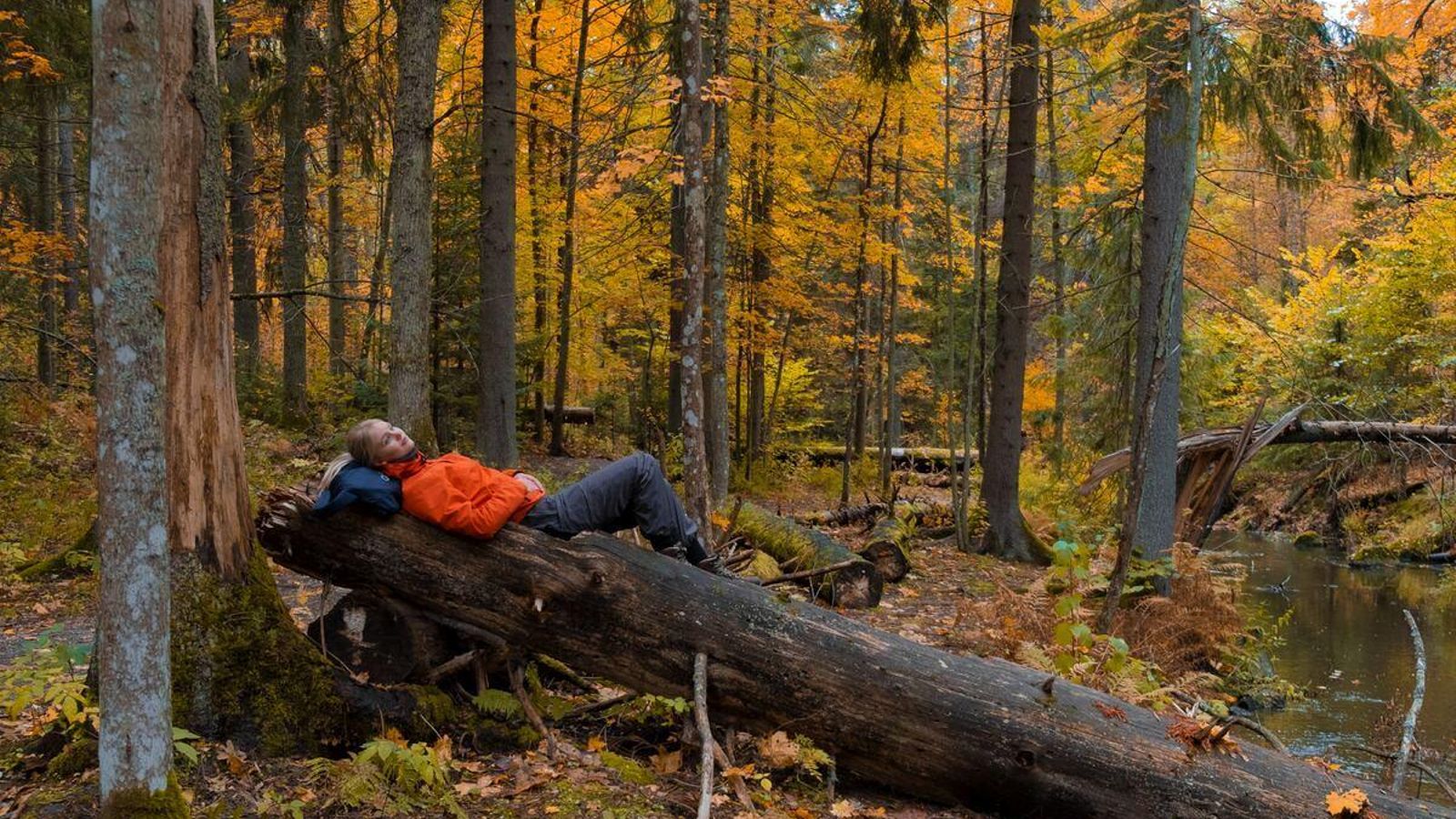 Una senderistas disfruta del relax en un bosque