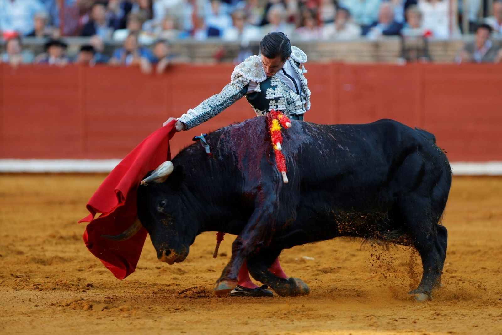 Las mejores fotos de la corrida de Morante, Ortega y Roca Rey en la Feria Taurina de Córdoba