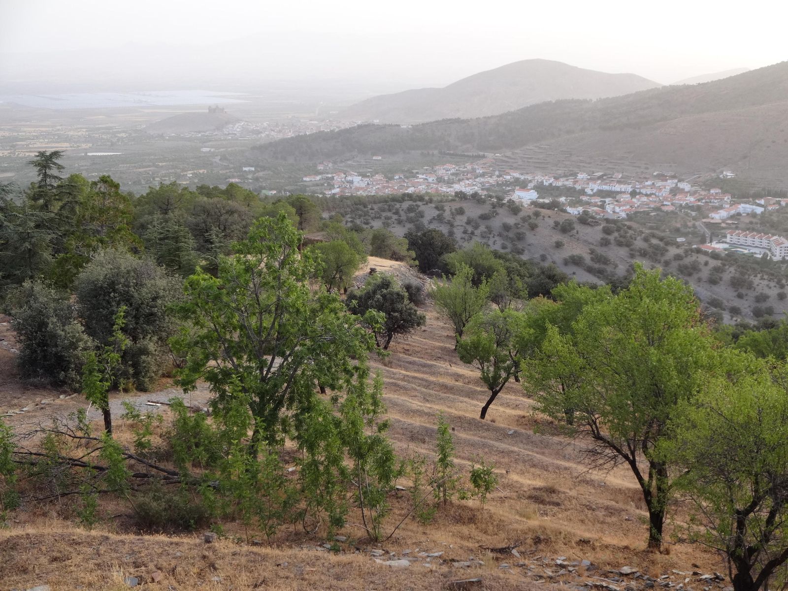 1. Agricultura de subsistencia (Marquesado). 2. Agricultura extensiva (Vega de Granada). 3. Interior de un invernadero (GWIberica).
