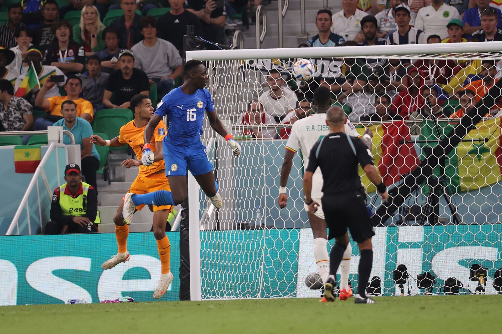 Las imágenes del Senegal - Países Bajos