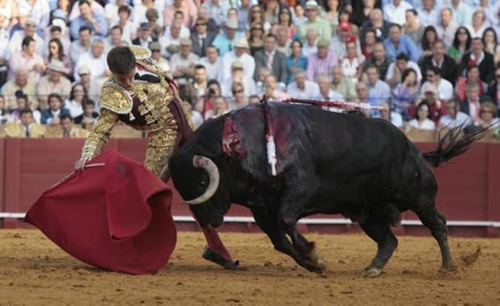 El Juli con el cuarto de la tarde en la treceava del abono de La Maestranza.

Foto: Juan Carlos Muñoz