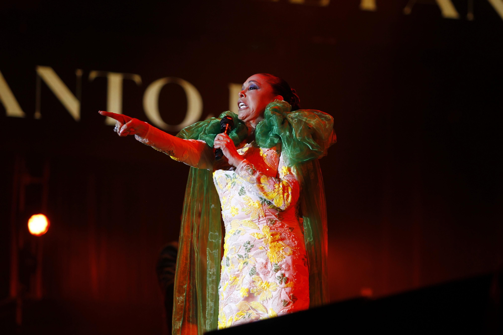 Isabel Pantoja cautiva al público de Almería en la plaza de toros