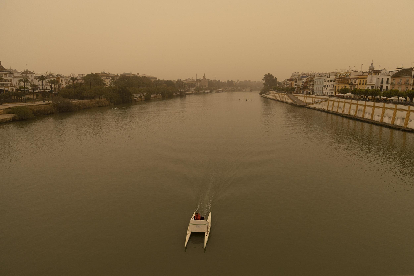Las imágenes de Sevilla cubierta de calima y polvo en suspensión