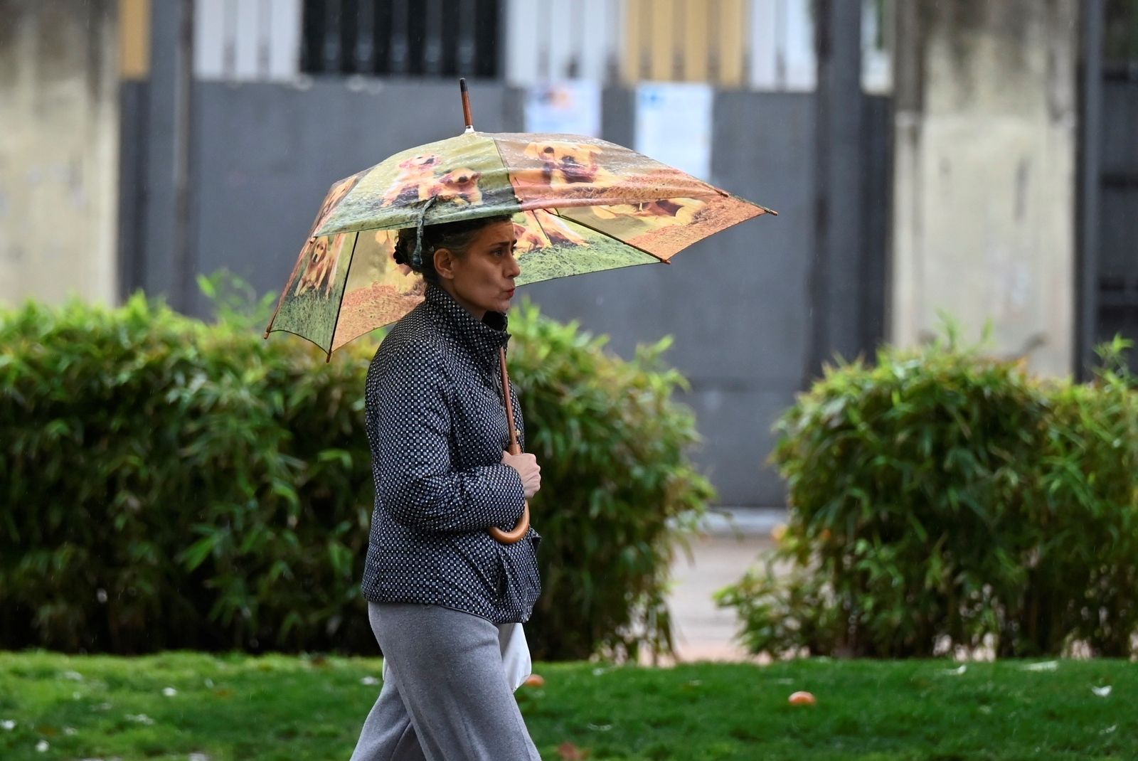 Una mujer camina por la calle con un paraguas.
