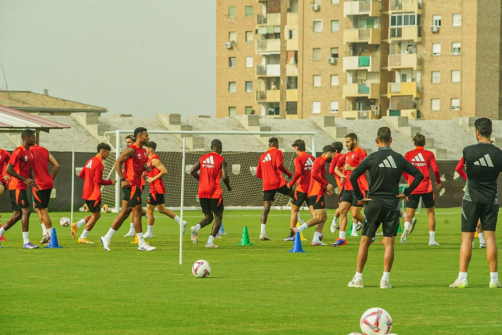 El primer entrenamiento de Fran Escribá en imágenes