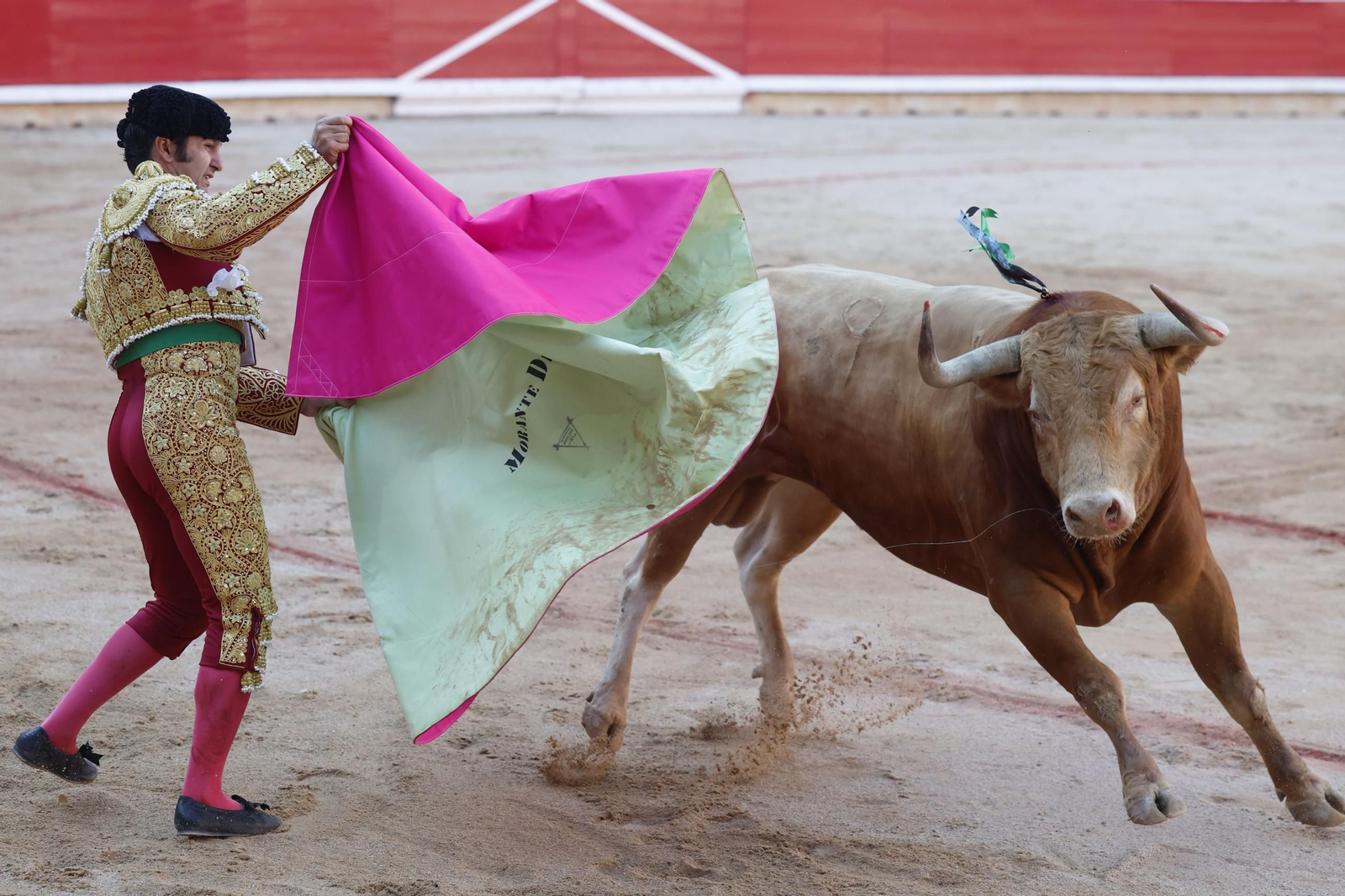 Las imágenes de la Puerta Grande en Pamplona