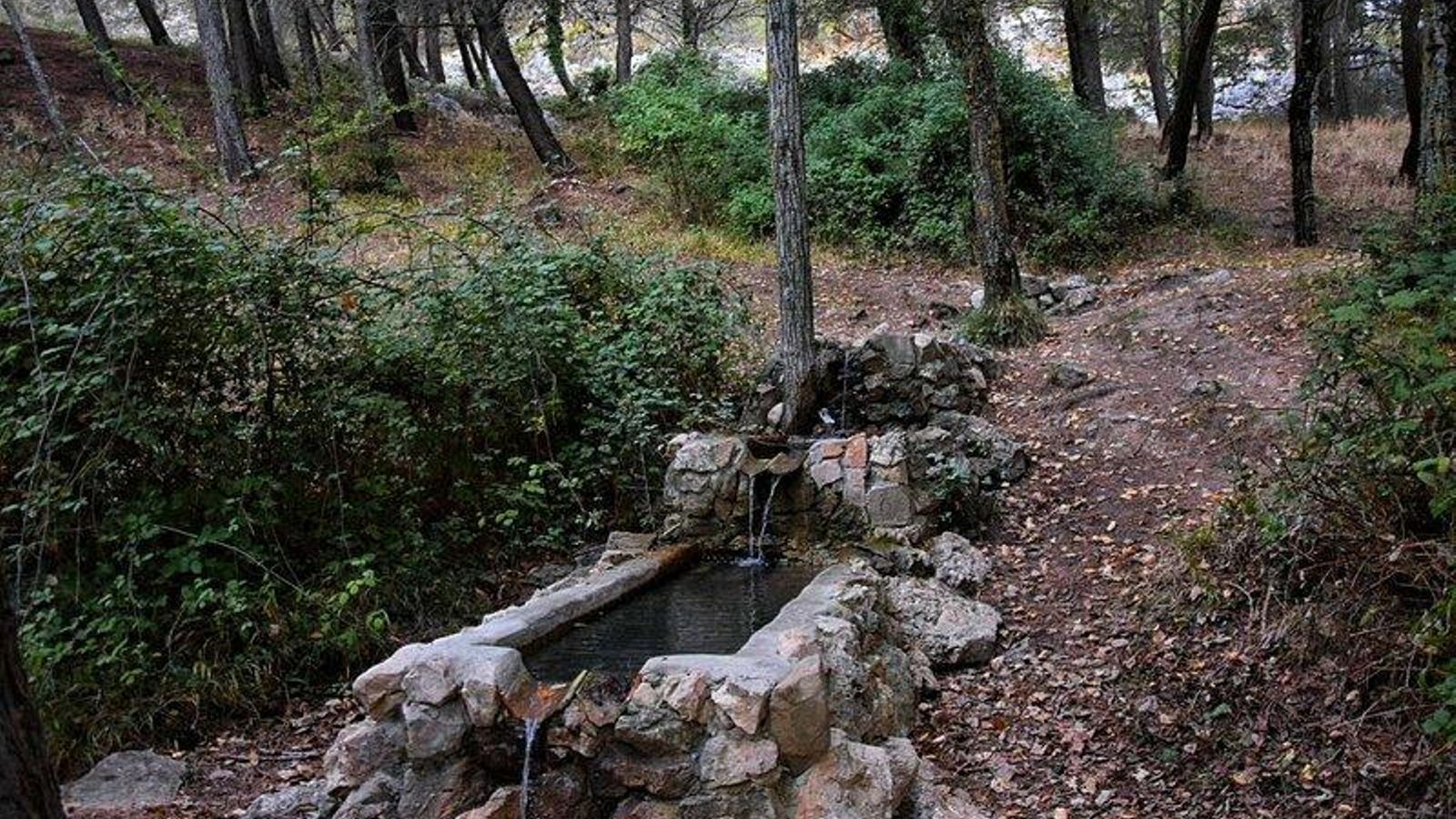 Fuente de la Canaleja, donde el tritón campa a sus anchas.