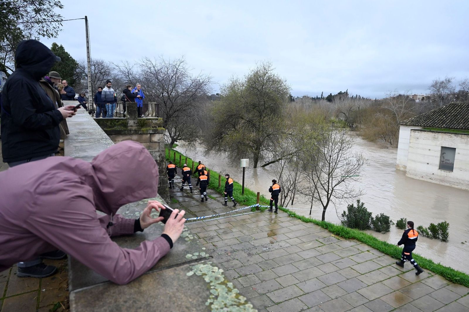 La impresionante crecida del río Guadalquivir: se acerca a los 6 metros a su paso por Córdoba