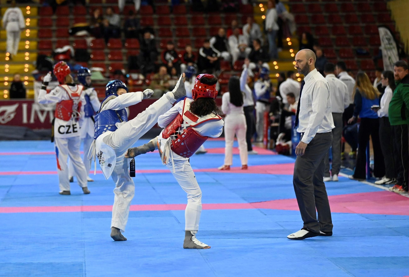 Las mejores fotos del Open Internacional de Andalucía de taekwondo en Córdoba