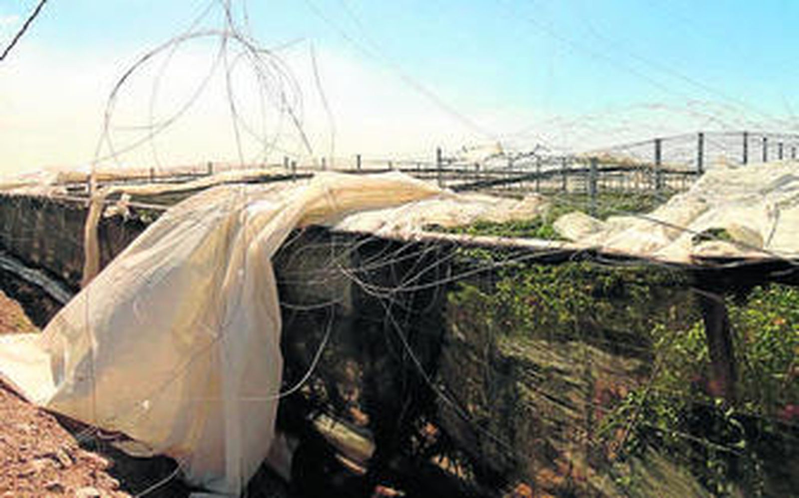 Estructuras de invernaderos dañadas en La Mojonera.