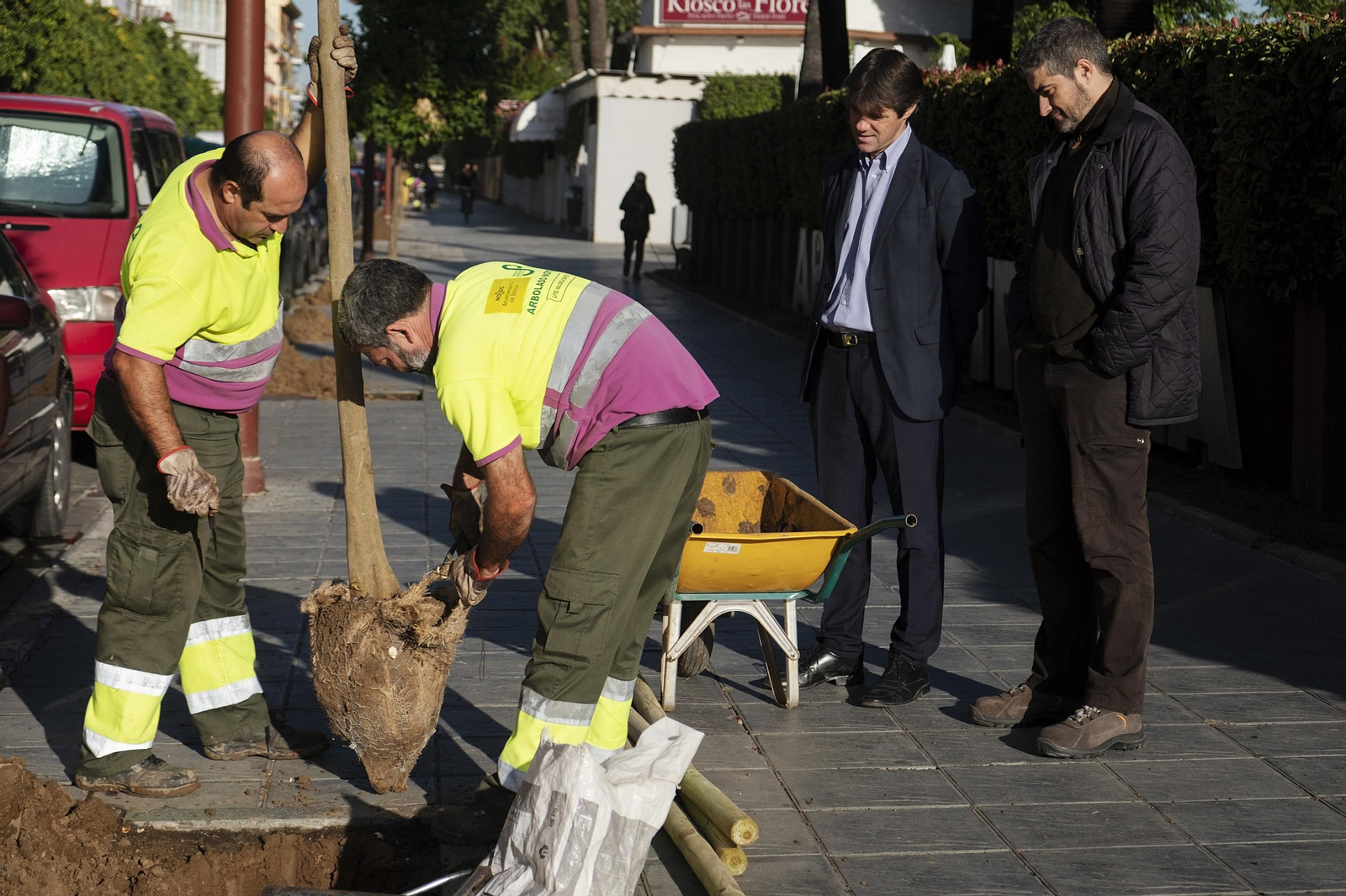 El concejal David Guevara presencia una plantación.