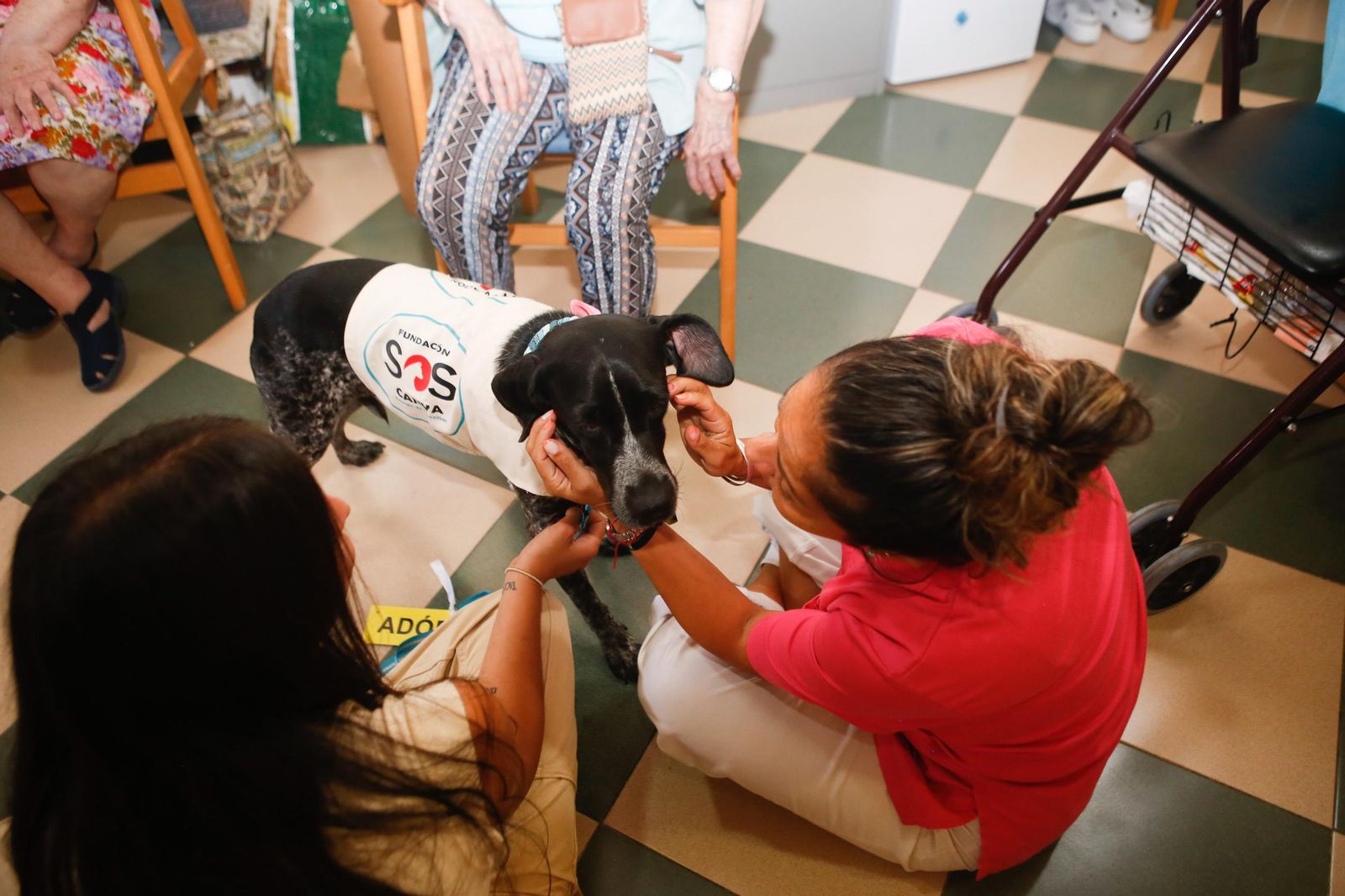 La visita de los perros de la protectora de Los Barrios a la residencia de mayores, en imágenes