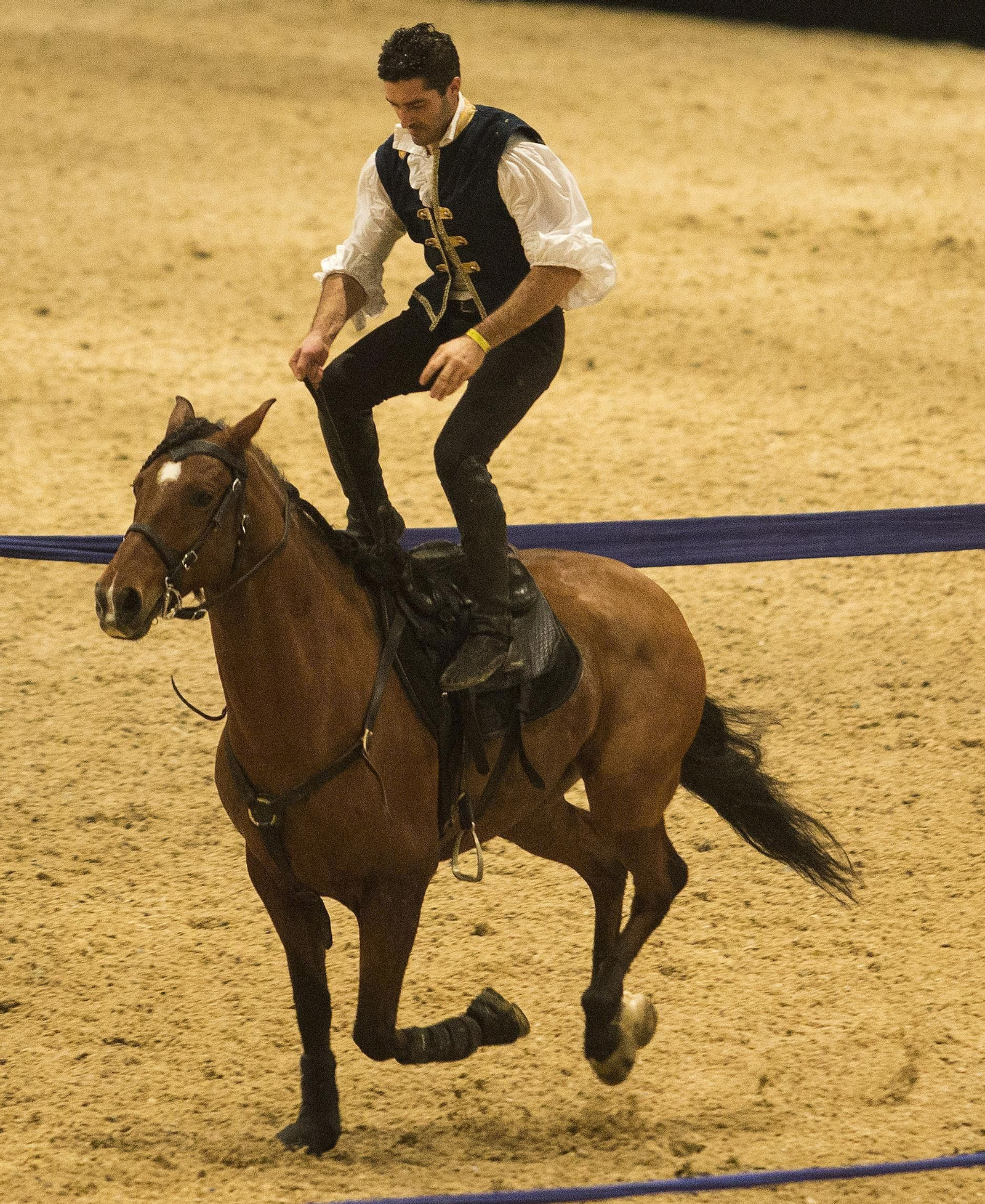 La inauguración de Sicab 2018, en imágenes