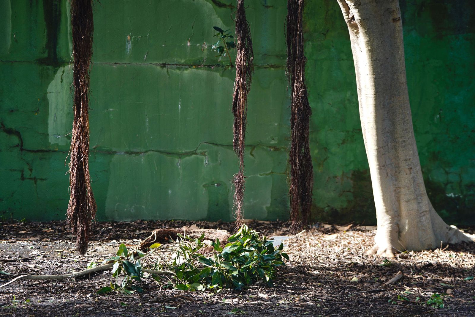 Una mañana en el paseo de la cornisa en Algeciras