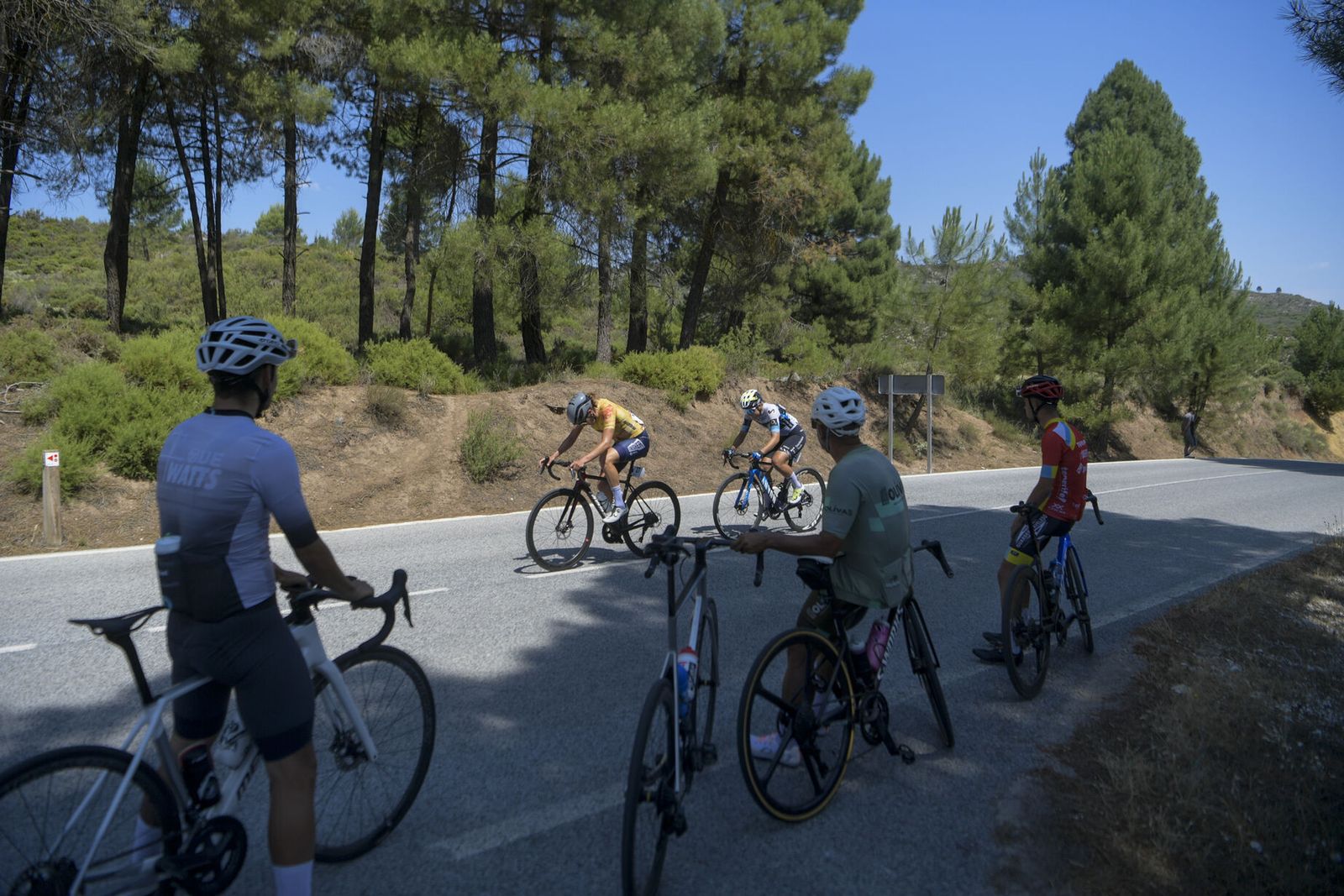 Las mejores imágenes del Campeonato de España en ruta
