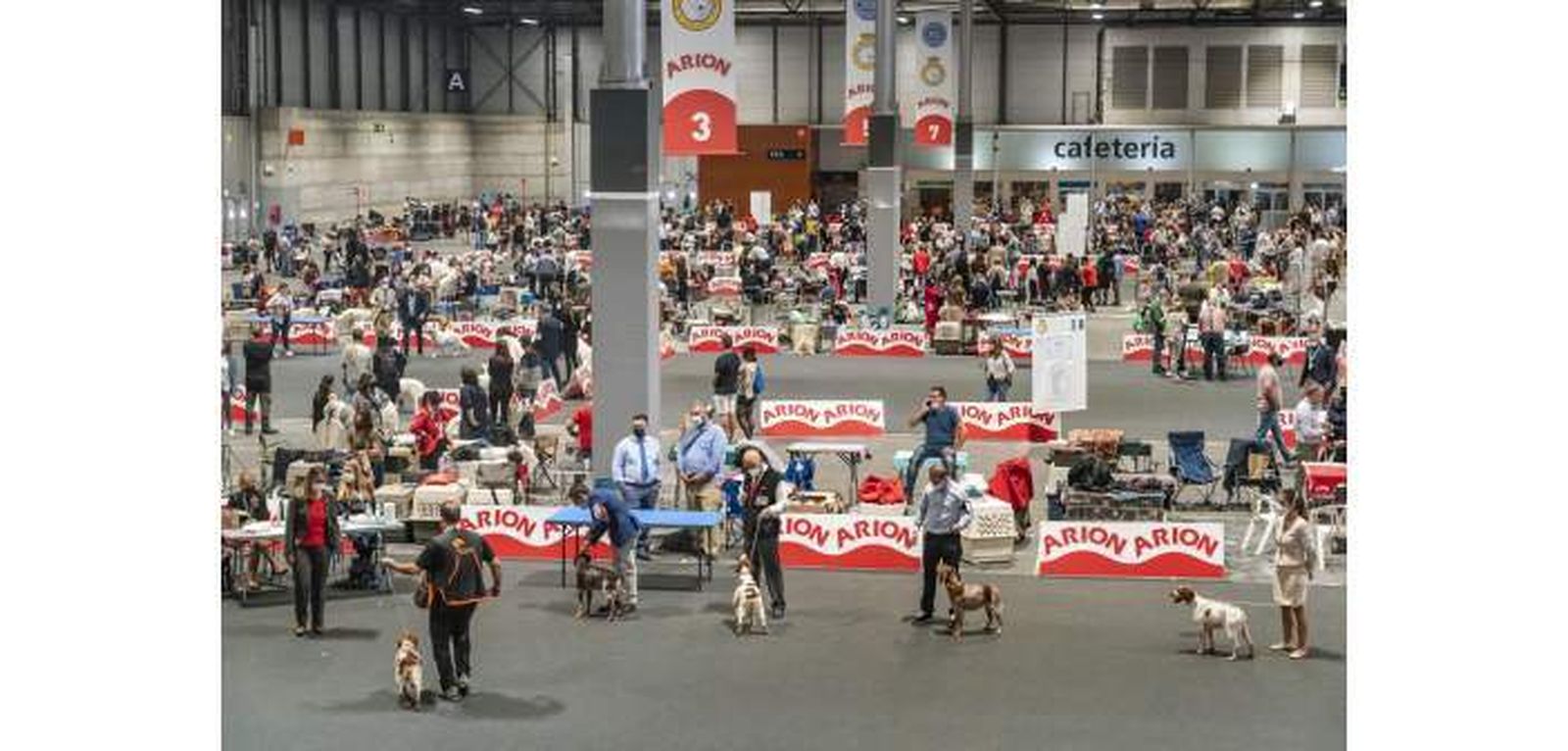 2.000 criadores y 3.000 perros se reunirán en la Mad Dog Show en Madrid