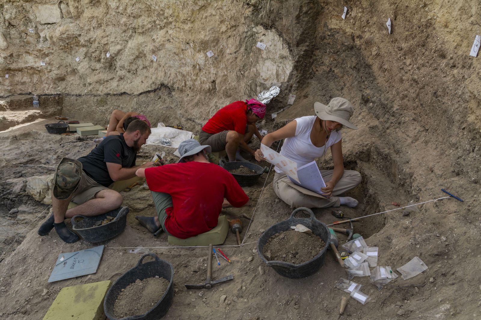 Excavaciones en Baza hallan más de 300 restos óseos de mamíferos del Plioceno