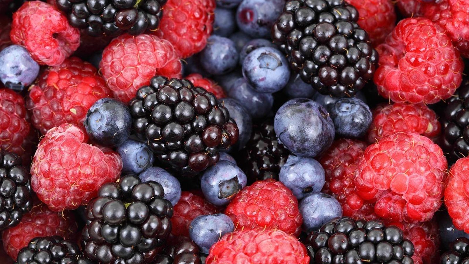 Frutos rojos: El snack perfecto para un estilo de vida saludable Frutos rojos: El snack perfecto para un estilo de vida saludable