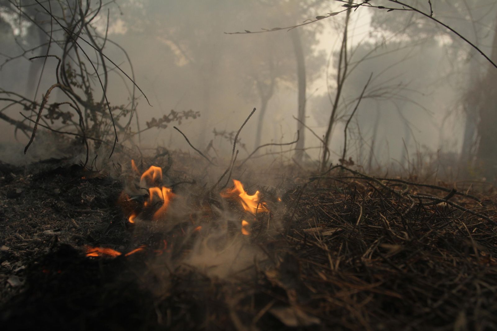 Las imágenes del incendio en Moguer y Mazagón