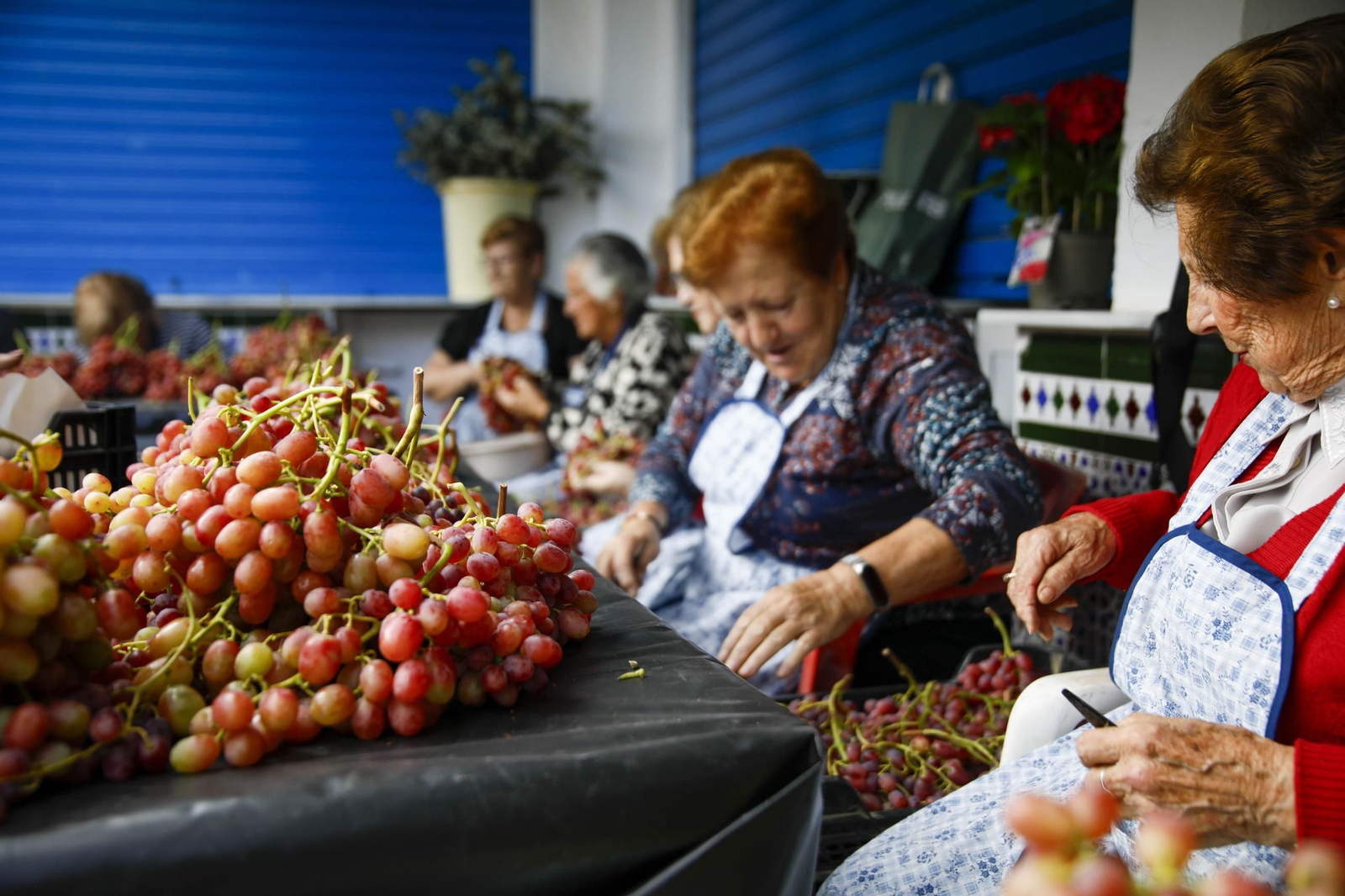 La tradicional faena de la uva de Canjayar, en imágenes