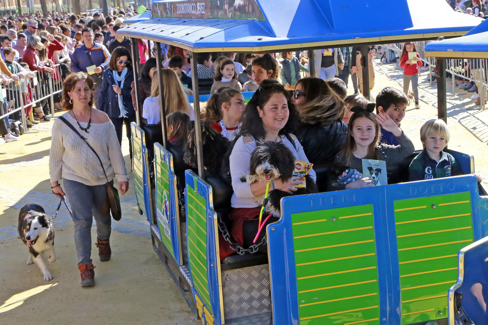 Imágenes de San Antón 2020 en Jerez